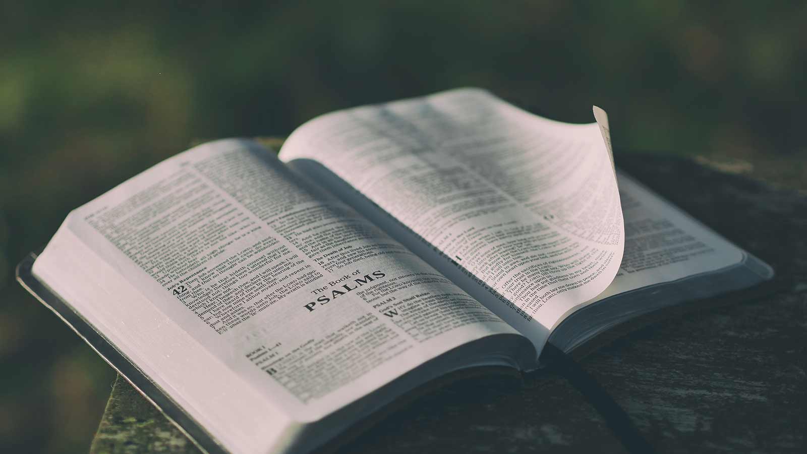 Crucified in Christ