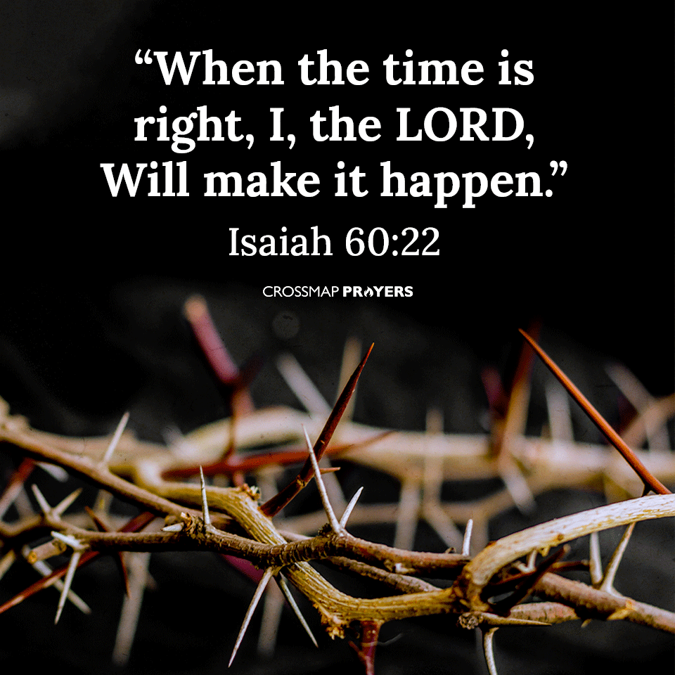 How To Trust In God's Plans For You
