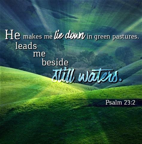 How to Seek Peace in the Chaos