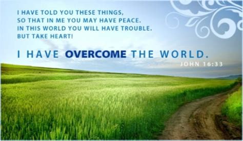 How To Find Peace in a Fallen World