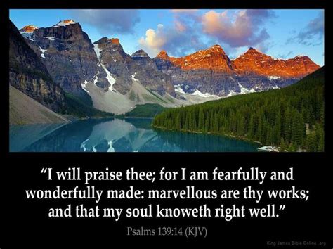 Why You Are Fearfully And Wonderfully Made