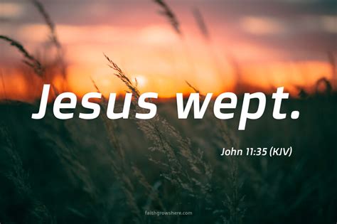 Why Did Jesus Weep?