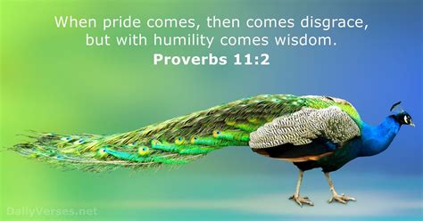 How to Build Wisdom