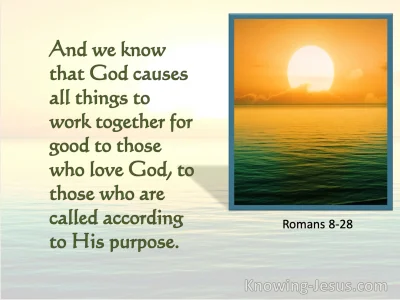 You're In God's Hands